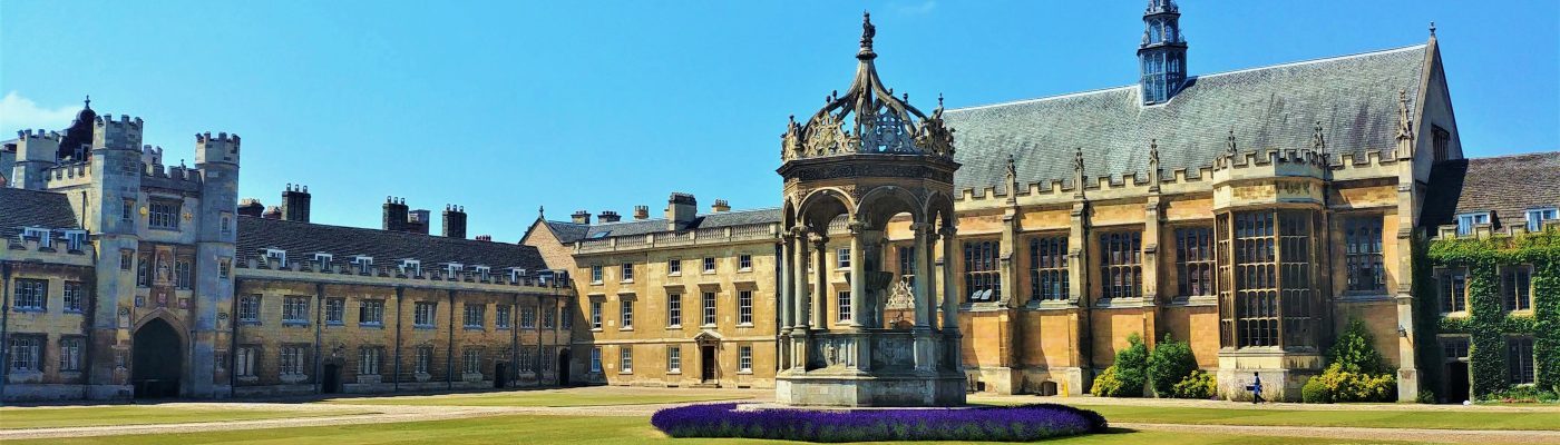 Expert Oxbridge Tutoring